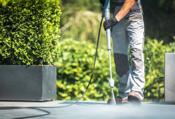 Best Gutter Cleaning and Brightening in Maple Plain, MN
