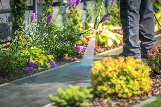 Best Soft Washing for Delicate Surfaces in Maple Plain, MN
